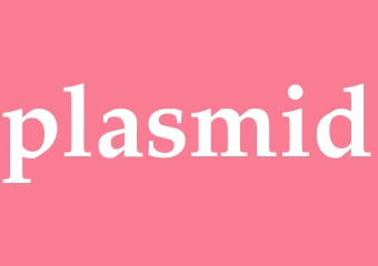 Synonym plasmid