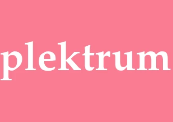 Synonym plektrum