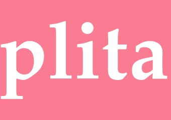 Synonym plita