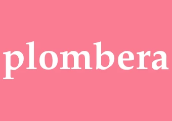 Synonym plombera