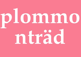 Synonym plommonträd