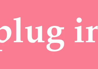 Synonym plug-in