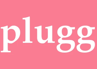 Synonym plugg
