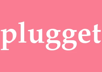 Synonym plugget