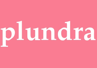 Synonym plundra