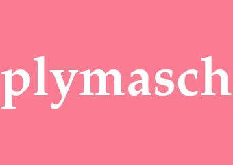 Synonym plymasch