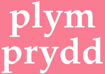 Synonym plymprydd