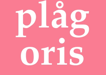 Synonym plågoris