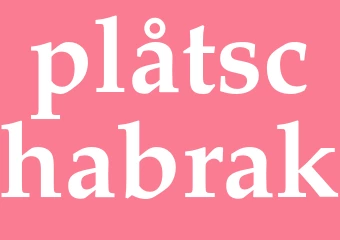 Synonym plåtschabrak