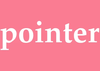 Synonym pointer