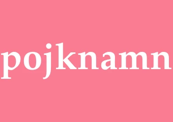 Synonym pojknamn