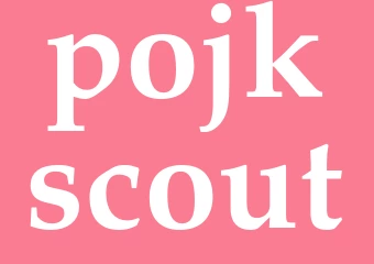 Synonym pojkscout