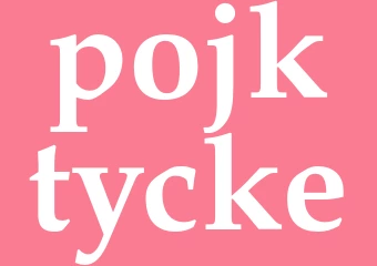Synonym pojktycke