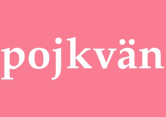 Synonym pojkvän