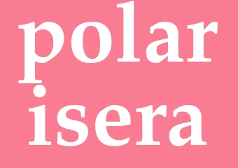 Synonym polarisera