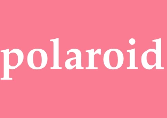 Synonym polaroid