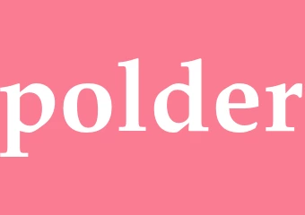 Synonym polder