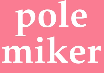 Synonym polemiker