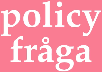 Synonym policyfråga