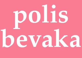 Synonym polisbevaka