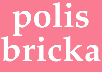 Synonym polisbricka