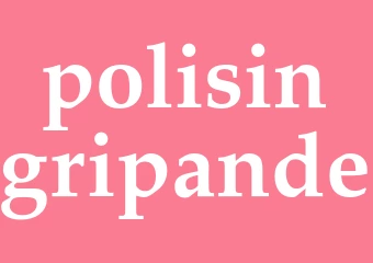 Synonym polisingripande