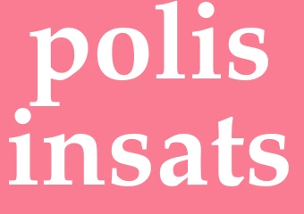 Synonym polisinsats