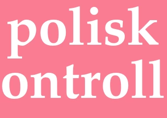 Synonym poliskontroll