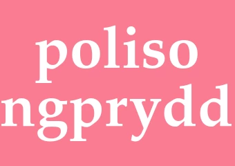 Synonym polisongprydd