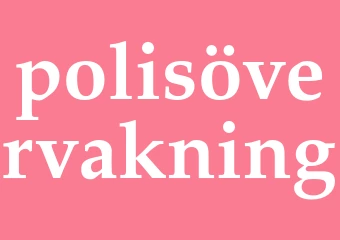 Synonym polisövervakning