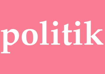 Synonym politik