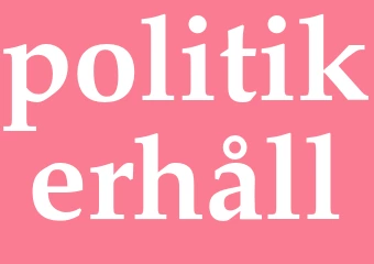 Synonym politikerhåll