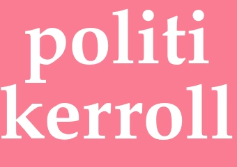 Synonym politikerroll