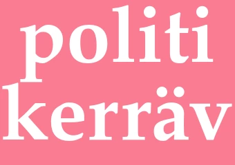 Synonym politikerräv