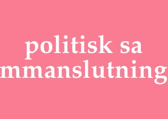 Synonym politisk sammanslutning