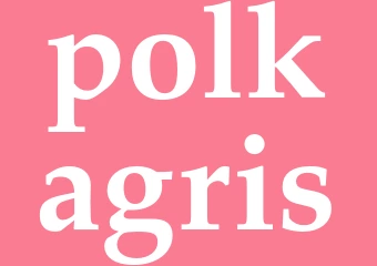 Synonym polkagris