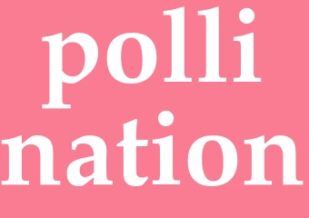 Synonym pollination
