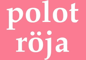 Synonym polotröja