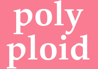 Synonym polyploid