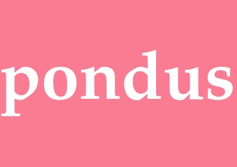 Synonym pondus