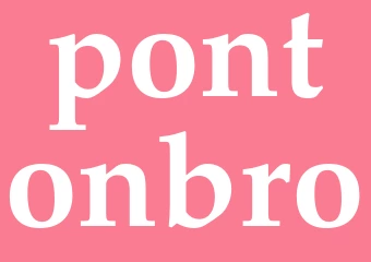 Synonym pontonbro