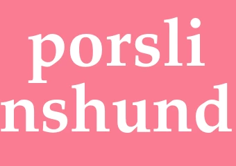 Synonym porslinshund