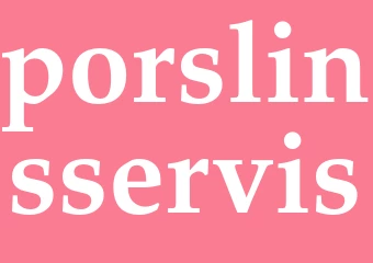 Synonym porslinsservis