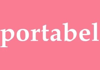 Synonym portabel