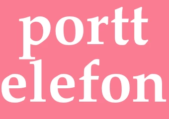 Synonym porttelefon