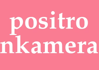 Synonym positronkamera