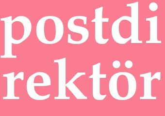 Synonym postdirektör