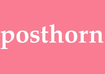 Synonym posthorn