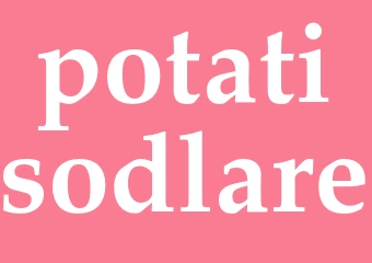 Synonym potatisodlare