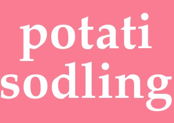 Synonym potatisodling